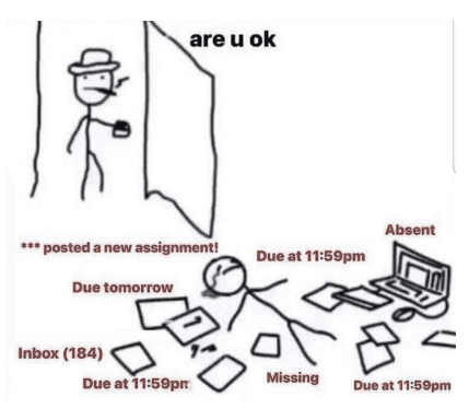 Meme 1