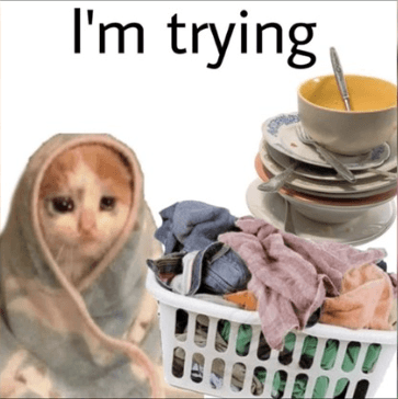 Meme 2