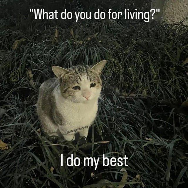 Meme 5